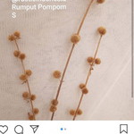 Luana Dimyati profile icon