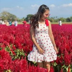 Bella Bell profile icon