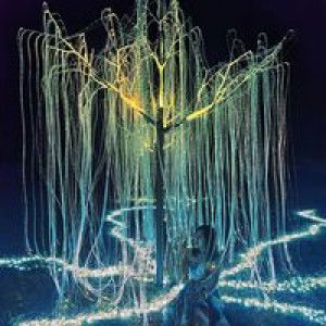 Kanya Kayo profile icon