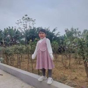 Cô Bé Ngốc profile icon