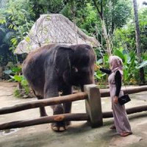 Ella Junia profile icon