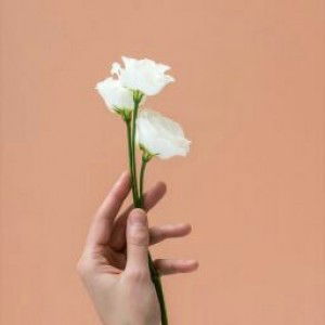 Tas Rifah profile icon