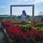 Ailene Custodio Permejo profile icon