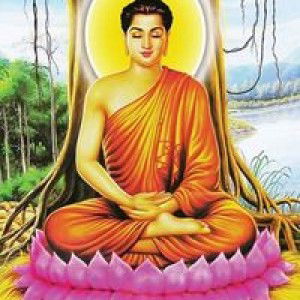 Mây Mây profile icon