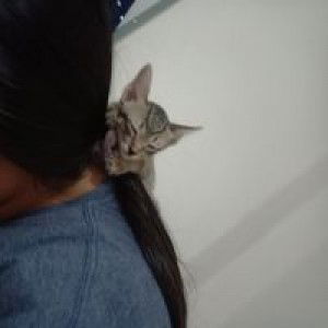 ใอร่ อ้วน profile icon