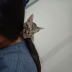 ใอร่ อ้วน profile icon
