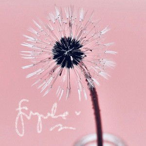 Ummu Qonitah profile icon