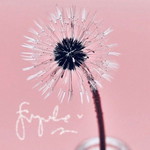 Ummu Qonitah profile icon