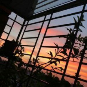 nila nura profile icon