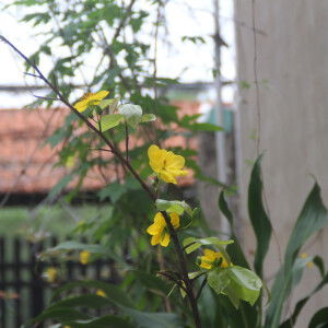 Mẹ bé Hảo profile icon