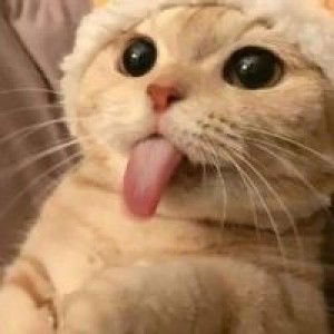 เทรน เนอร์ profile icon