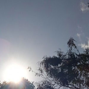 Winda Rahayu profile icon