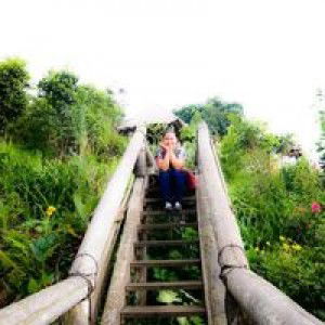 Lhyn Domanico Quimpo profile icon