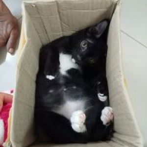 ท้องฟ้า อ้างว้าง profile icon