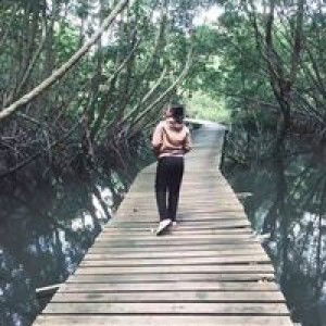 Wiwin SwanDewi profile icon