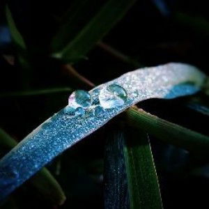 Hani Hanifah profile icon