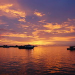 Nora Ishak profile icon