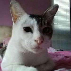 Mardiani Nafiati profile icon