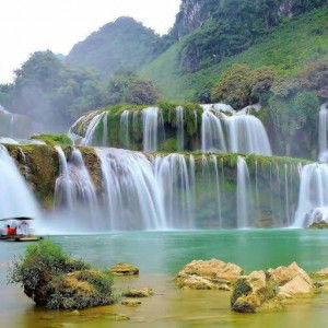 rama-rama malam profile icon