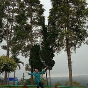 Shofa Nur Zulaicha profile icon