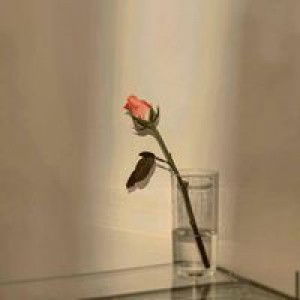 Ummu Hamzah profile icon