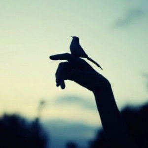 NURUL NAZIHAH profile icon