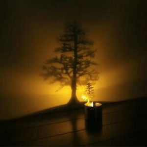 Zuraini Mohd Rosli profile icon