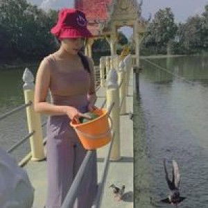 Niyaporn Ploy profile icon