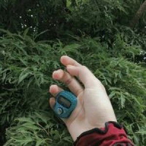 Vee Fitriyana profile icon