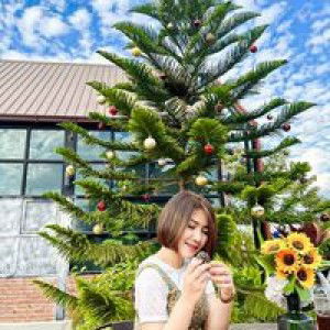 เนตรนภา า. profile icon