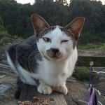 Za Lina profile icon