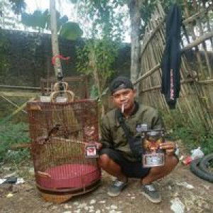 Dhaceff profile icon