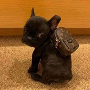 Deric Ja Red profile icon