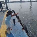 Aonthika Chu profile icon