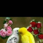 Lanang Sing Setia profile icon