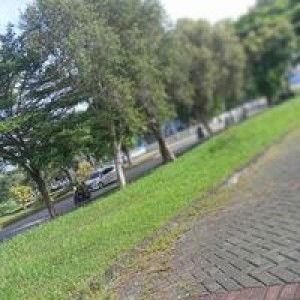 Siti Rohmah Sari profile icon