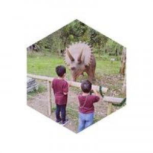 Wanaa Rosdi II profile icon