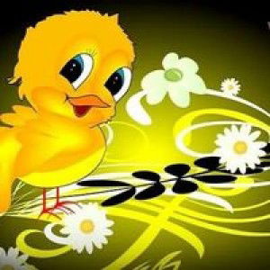 Dhian Bravo profile icon