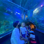 athieka profile icon