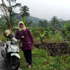 Dewi Anggraeni profile icon