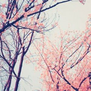 M.Hasbi Eliyadi profile icon