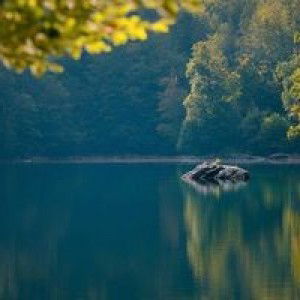 Dessy Lestari Siregar profile icon