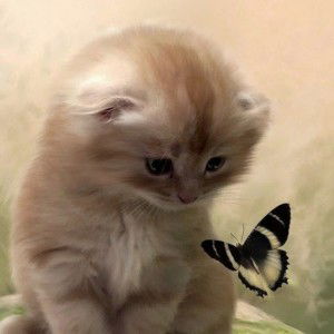 Ebi Habibah profile icon