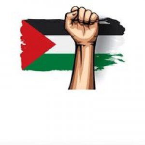 Wildanum Mukholladun Alfatih profile icon