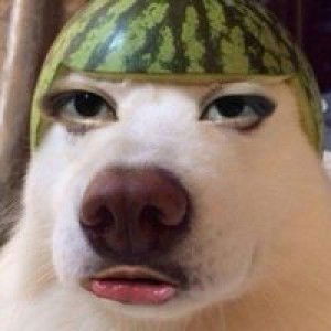 สุวรรณา มีบุบผา profile icon