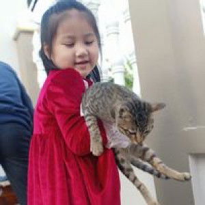 Long Lee profile icon