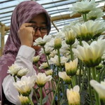 iis hidayah profile icon