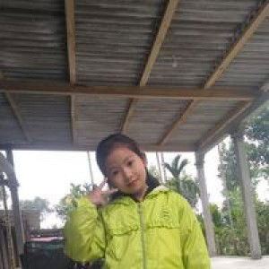 Nguyễn Lương Nguyễn profile icon