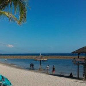 Ema Lyn profile icon