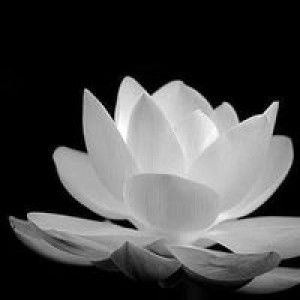 Quý Phạm profile icon